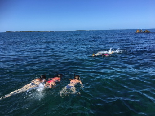 guided family snorkeling tours in northern eleuthera